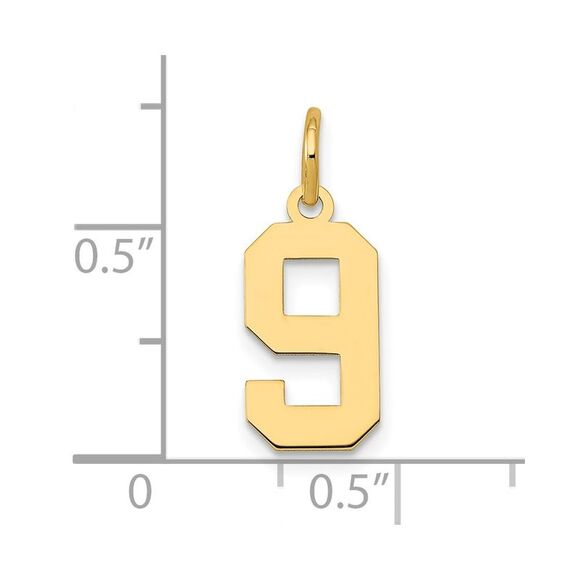 14k Yellow Gold, Athletic Collection, Small Polished Number 9 Pendant - Picture 4 of 5